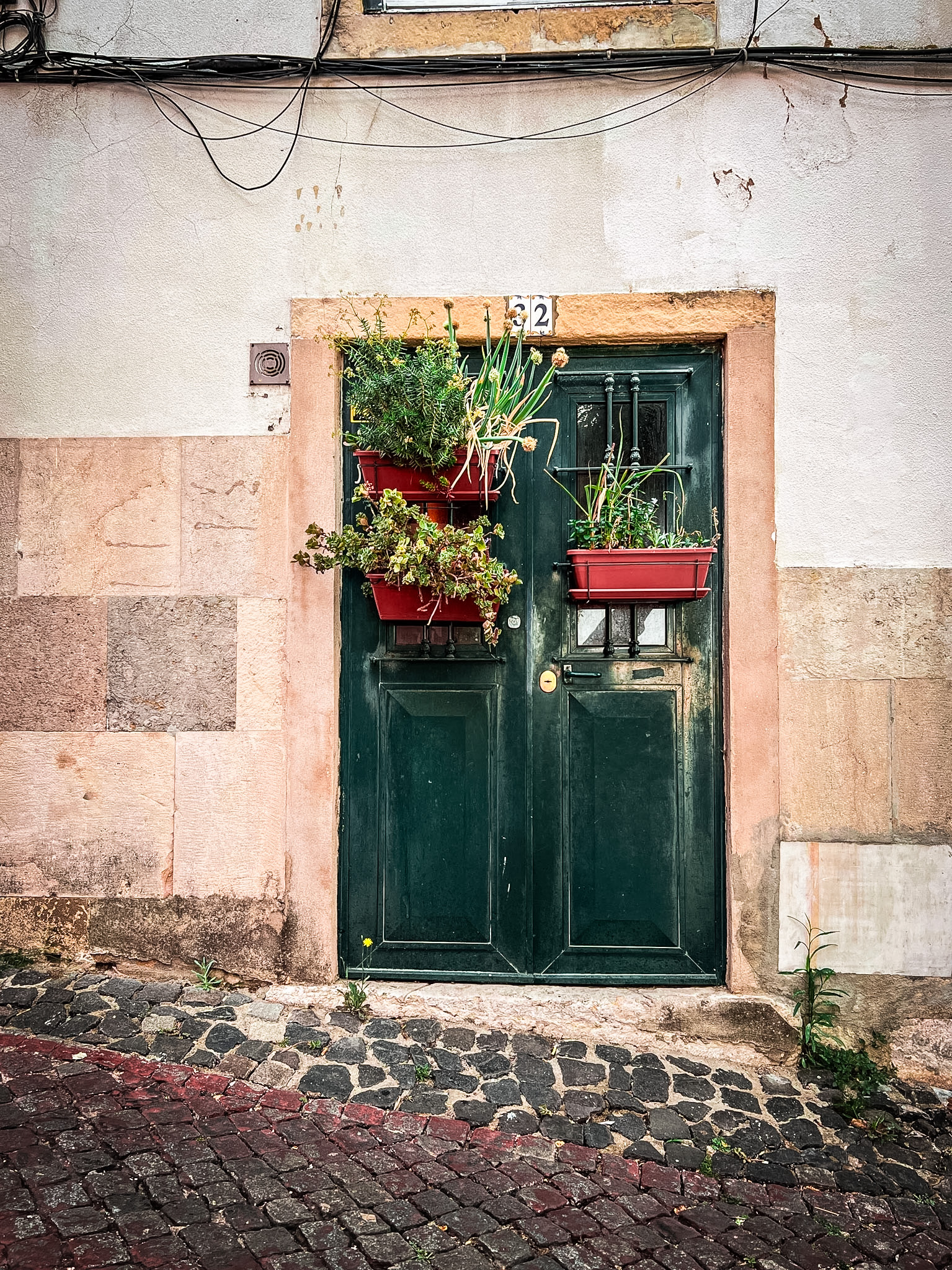 Green & Growing, Lisbon