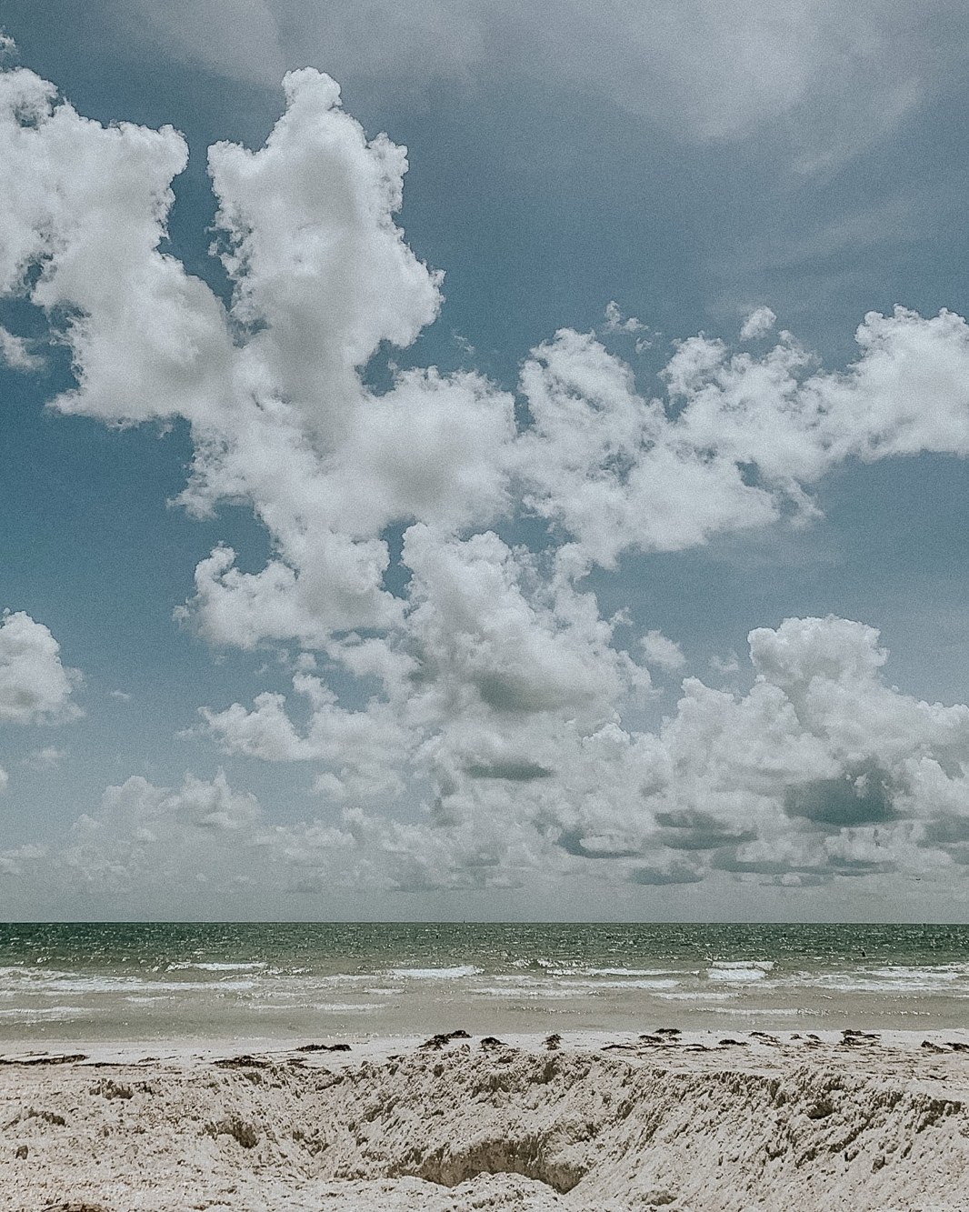 A St. Pete beach under big cumulus clouds, dune grass in the sand